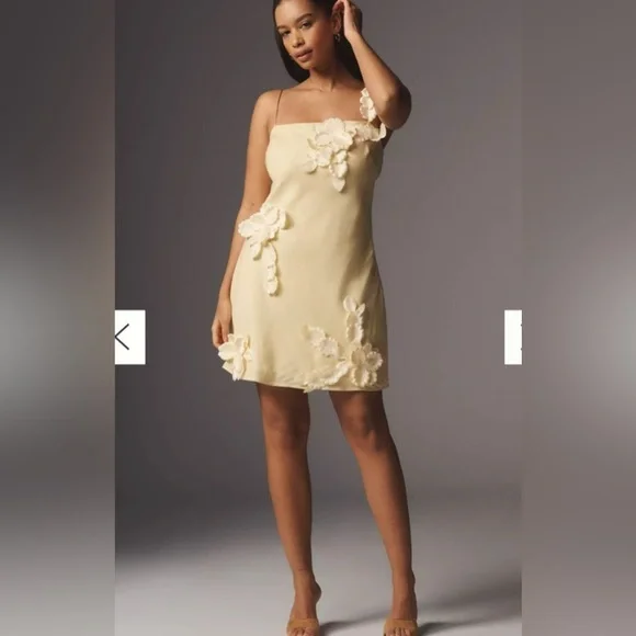 Anthropologie Hutch 3D Floral Appliqué Linen Blend Dress - Picture 2 of 4